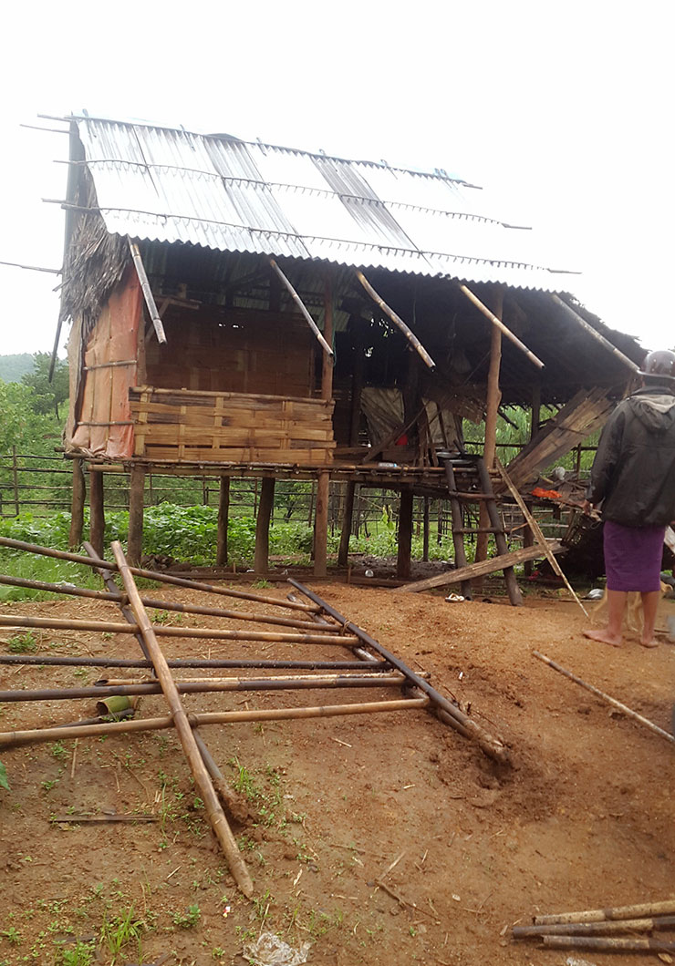 Destroied Replantation Farm Myanmar