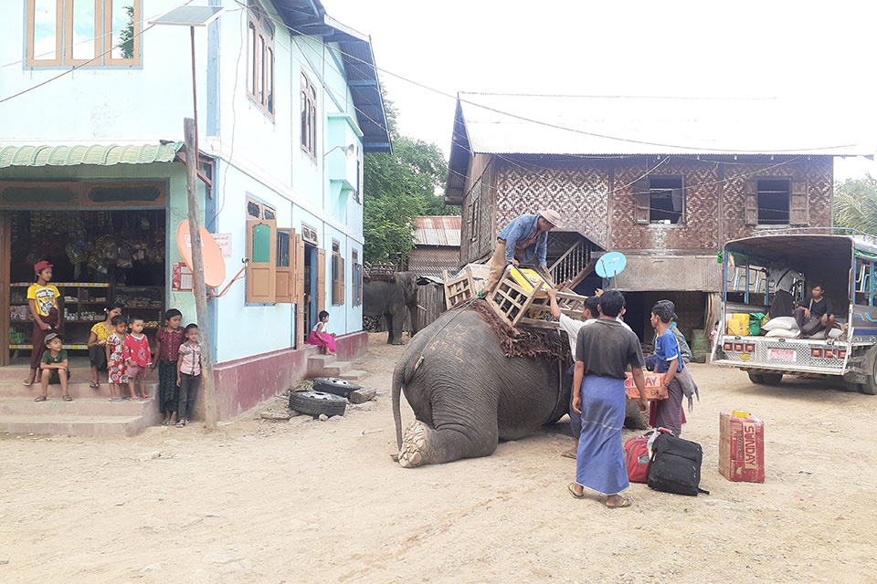 Shwe Pan Village to Elephant Camp Myanmar