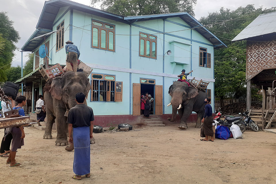 Shwe Pan Village to Elephant Camp Myanmar