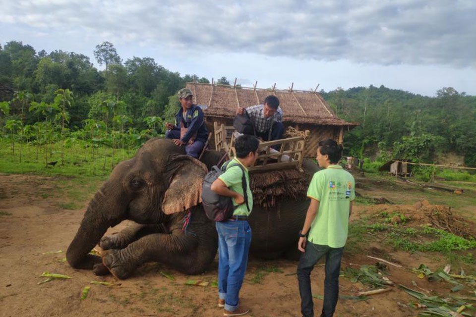 Elephant Camp Fareware