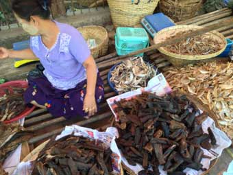 Marine Dolphin meat in Pyay market